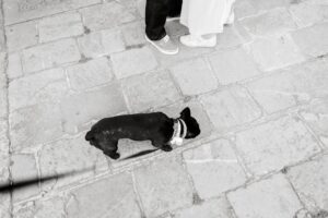 En sort hund går på brostensbelægning tæt på en person med en hvid kjole og en anden person iført jeans og sneakers