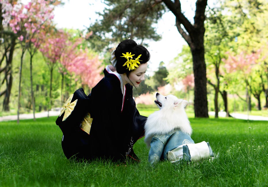 En kvinde iført en traditionel kimono sidder på græsset og kigger smilende på en hvid hund, der bærer en blå jakke. Baggrunden viser blomstrende træer med pink blomster og grønne buske.