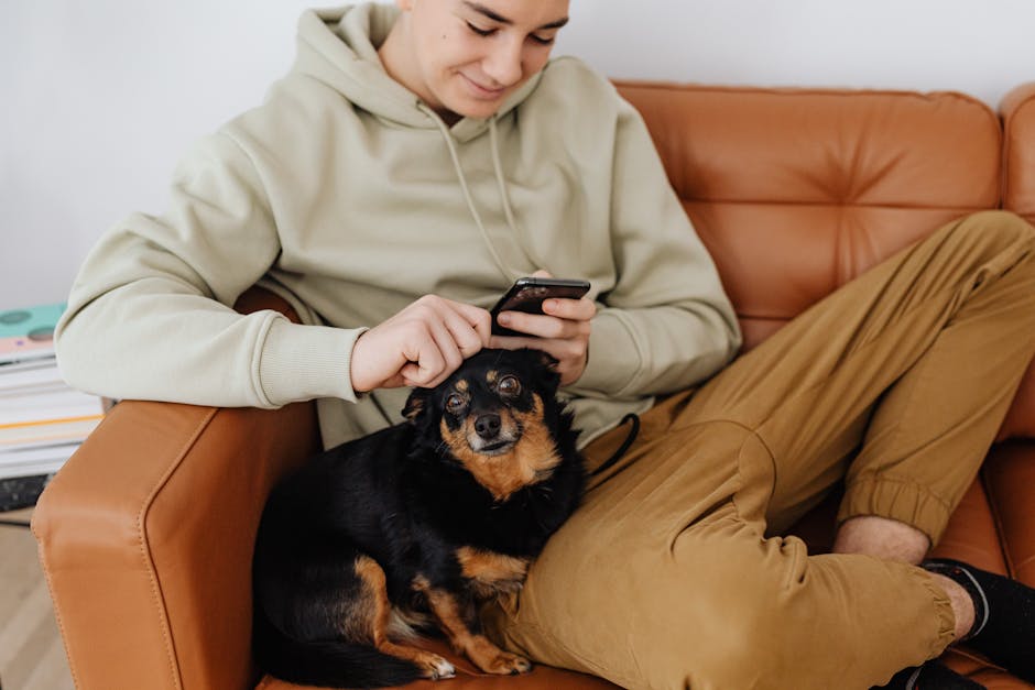 En ung mand sidder på en brun lædersofa iført en lys grøn hættetrøje og beige bukser mens han ser på sin smartphone han har en lille sort hund ved sin side som ser op på ham med en venlig mine