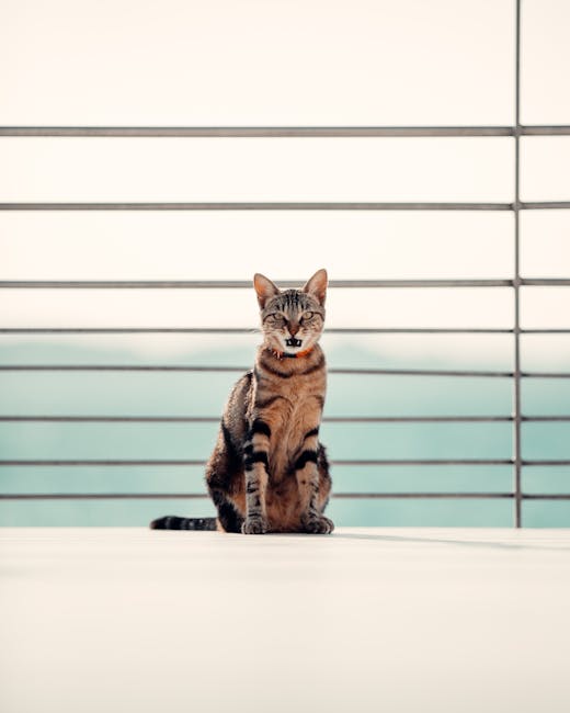 En kat sidder på en lys overflade med metalstænger i baggrunden og ser fremad. Katten har stribet pels og en opmærksom mine. Skoven og den klare himmel kan ses i baggrunden.