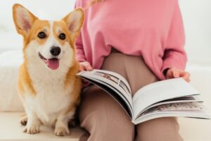 En kvinde i en lyserød trøje sidder på en sofa og holder en bog åbent i skødet. Ved siden af hende sidder en glad, brun og hvid Corgi hund med strittende ører og en bred mundtlig smil.